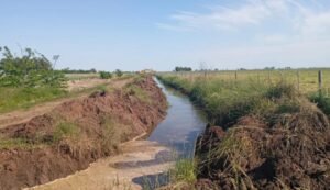 Piden informes por obras hídricas ilegales en la Provincia de Buenos Aires canales clandestinos