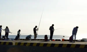 pescadilla